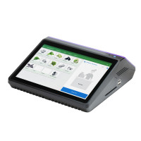 Вики Мини 10Ф с ФН 1.2 36 месяцев