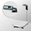 Весы с печатью этикеток TB-S-60.2-RL1 