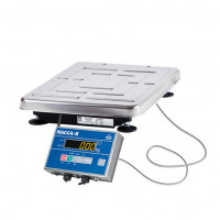 Весы товарные ТВ-S_АB(RUEW)1