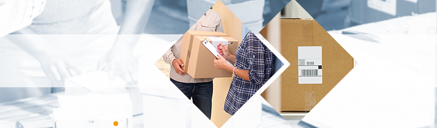 ТСД Newland в городе Севастополь